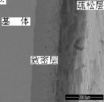 Ti6Al4V合金表面微弧氧化膜层（400V）